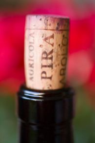 pira cork